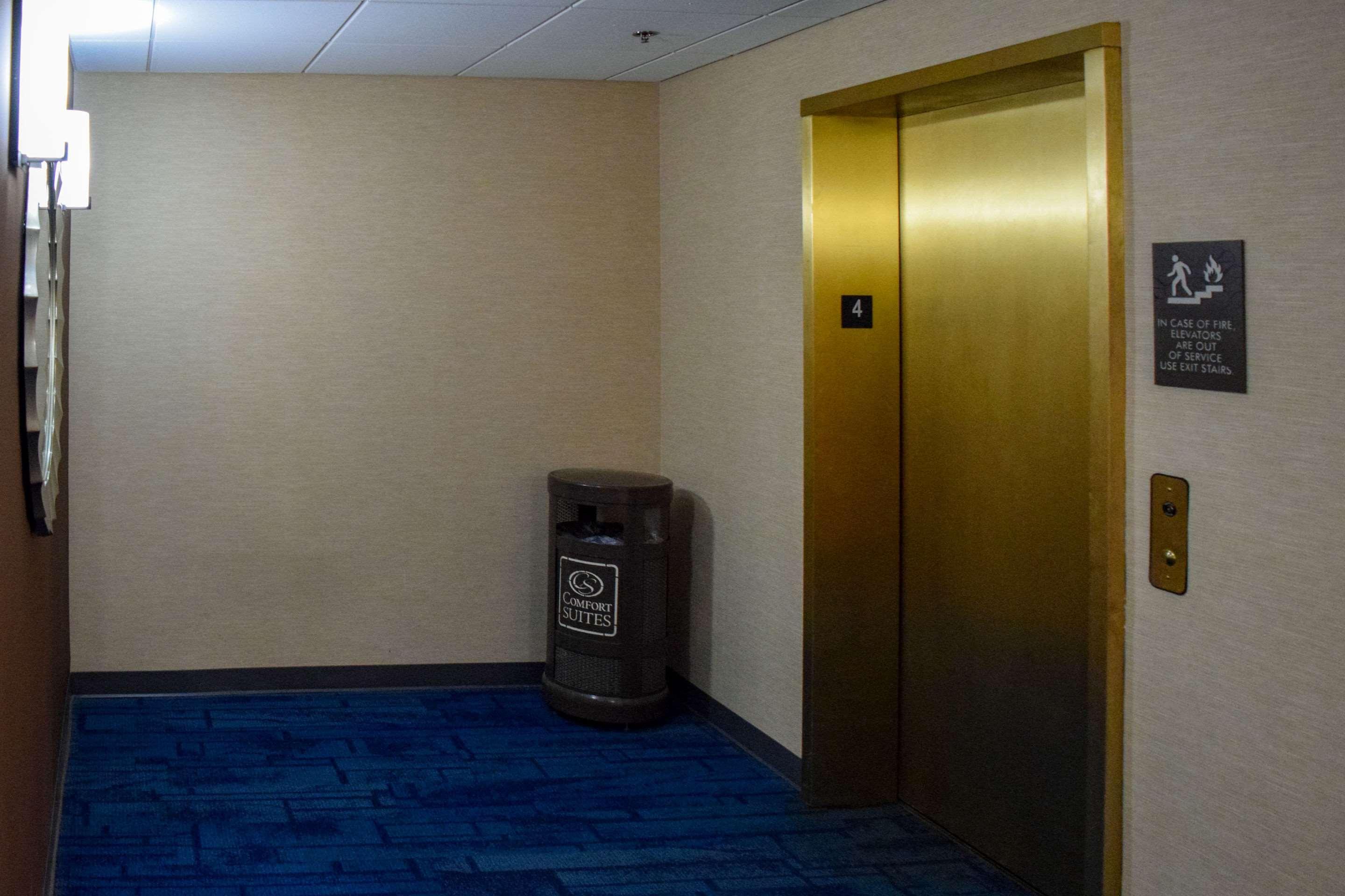 Comfort Suites Olive Branch - Memphis South Esterno foto
